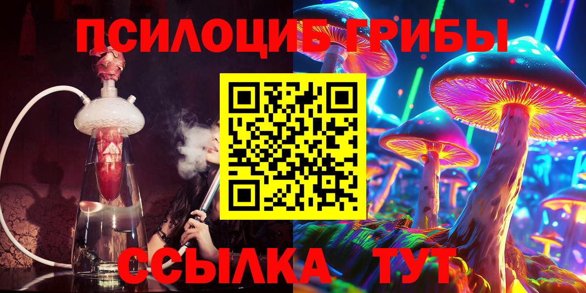 Александров  Псилоцибиновые грибы Psilocybine cubensis  Вход с VPN 